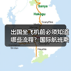出国坐飞机前必须知道哪些流程？国际航班乘机全攻略(图2)