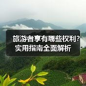 旅游者享有哪些权利?实用指南全面解析(图2) 旅游者享有哪些权利?实用指南全面解析(图2)