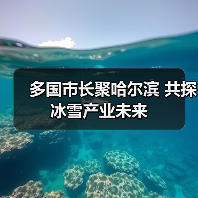 多国市长聚哈尔滨 共探冰雪产业未来(图2) 多国市长聚哈尔滨 共探冰雪产业未来(图2)