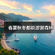 春夏秋冬都能游赏森林 - 辰飞雨光踪暖行旅游资讯