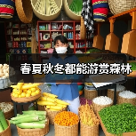 春夏秋冬都能游赏森林(图3) 春夏秋冬都能游赏森林(图3)