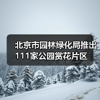 北京市园林绿化局推出111家公园赏花片区 - 辰飞雨光踪暖行旅游资讯