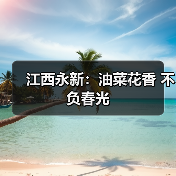 江西永新:油菜花香 不负春光(图3) 江西永新:油菜花香 不负春光(图3)