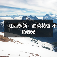 江西永新:油菜花香 不负春光(图4) 江西永新:油菜花香 不负春光(图4)