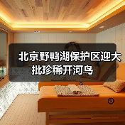 北京野鸭湖保护区迎大批珍稀开河鸟(图1) 北京野鸭湖保护区迎大批珍稀开河鸟(图1)