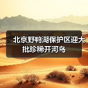 北京野鸭湖保护区迎大批珍稀开河鸟(图2) 北京野鸭湖保护区迎大批珍稀开河鸟(图2)