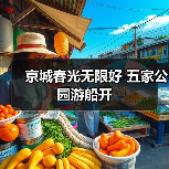 京城春光无限好 五家公园游船开 - 辰飞雨光踪暖行旅游资讯