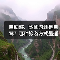 自助游、随团游还是自驾？哪种旅游方式最适合你？(图3)