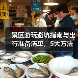 景区游玩避坑指南与出行准备清单，5大方法实用速览 - 辰飞雨光踪暖行旅游资讯
