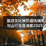 旅游文化景区避坑指南与出行准备清单2025 - 辰飞雨光踪暖行旅游资讯