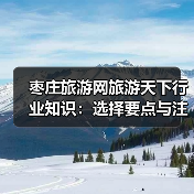 枣庄旅游网旅游天下行业知识:选择要点与注意事项指南(图1) 枣庄旅游网旅游天下行业知识:选择要点与注意事项指南(图1)