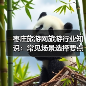 枣庄旅游网旅游行业知识:常见场景选择要点及注意事项2026(图3) 枣庄旅游网旅游行业知识:常见场景选择要点及注意事项2026(图3)