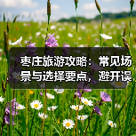 枣庄旅游攻略:常见场景与选择要点,避开误区2026(图2) 枣庄旅游攻略:常见场景与选择要点,避开误区2026(图2)
