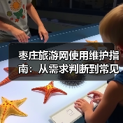 枣庄旅游网使用维护指南：从需求判断到常见