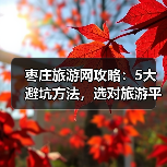 枣庄旅游网攻略:5大避坑方法,选对旅游平台2026(图3) 枣庄旅游网攻略:5大避坑方法,选对旅游平台2026(图3)